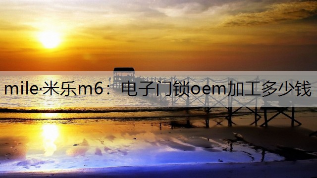 mile·米乐m6：电子门锁oem加工多少钱