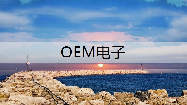 OEM电子