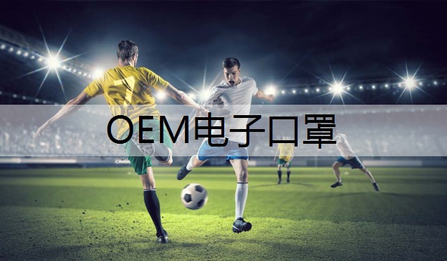 OEM电子口罩