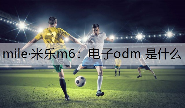 mile·米乐m6：电子odm 是什么