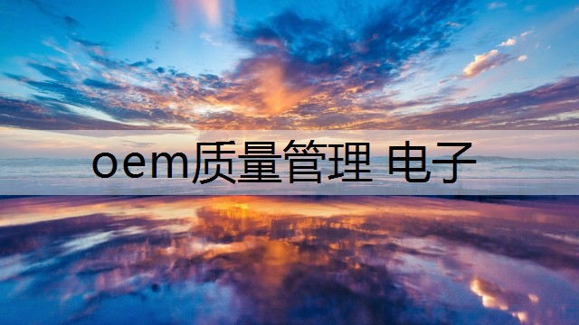 oem质量管理 电子