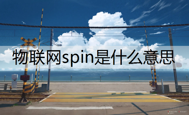 物联网spin是什么意思