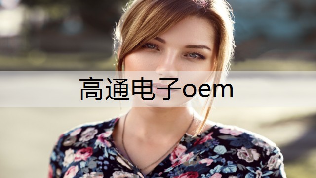 高通电子oem