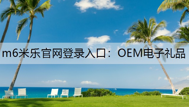 OEM电子礼品