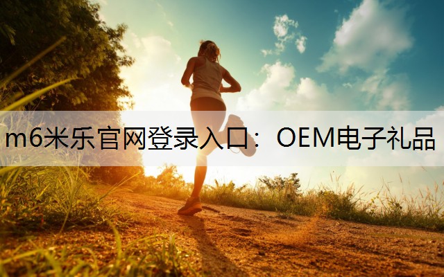 OEM电子礼品