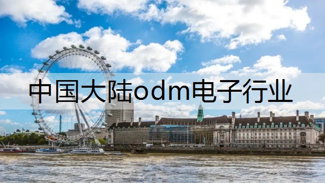 中国大陆odm电子行业