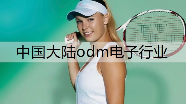 中国大陆odm电子行业